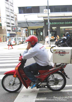 Road mortality buenos aires